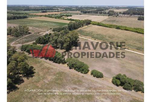 Campo En Venta, 155ha Acceso Zabala, Marcos Paz, Buenos Aire