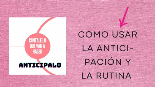 Libro/ Capacitación Para Padres De Niños Con Autismo