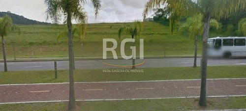 Terreno Em Vila Nova - Lp973