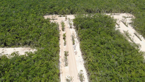 Imagen 13 de 13 de Venta Terreno En Tulum Cerca Del Centro
