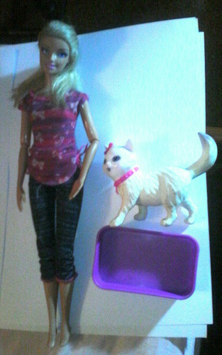 Barbie Con Gato Y Su Arenero