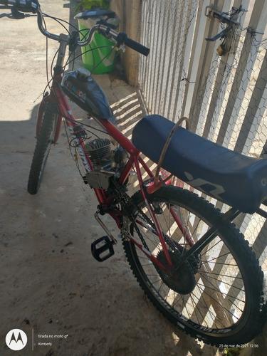Motor Mosquito
