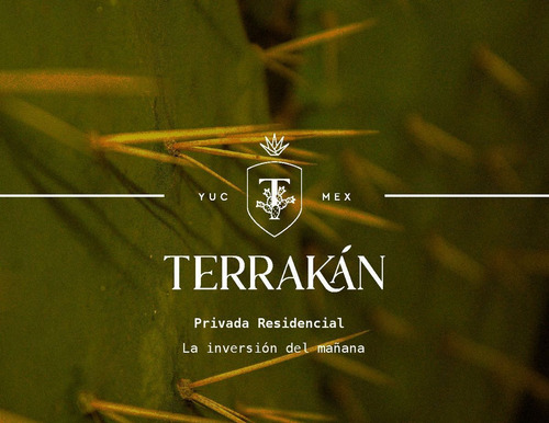 Terreno De Inversion En Yucatan A Pocos Min Del Tren Maya Y