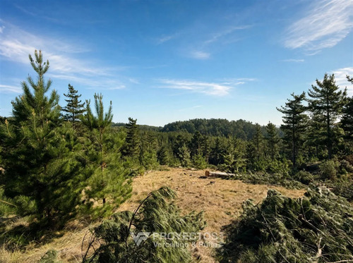 Sitio En Venta En Loteo Alto Boyeruca, Comuna Vichuquén