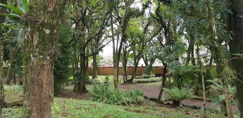 Imagem 8 de 14 de Terreno - Sao Ciro - Ref: 7612 - V-7612