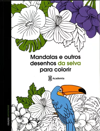 Livro Pintura Adulto Antiestresse Mandalas E Outros Desenhos Budistas