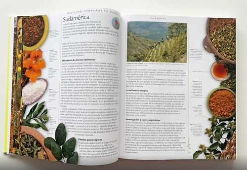 Imagen 4 de 7 de Enciclopedia De Plantas Medicinales (tapa Dura) / Chevallier