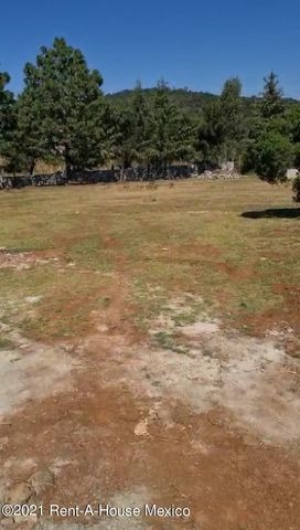 Imagen 4 de 12 de Terreno En Venta En Huasca De Ocampo Centro 214022isg