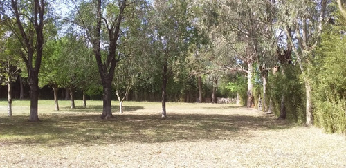 Imagen 3 de 10 de Venta De Quinta - Zona Fcio. Varela, Pasaje La Carolina