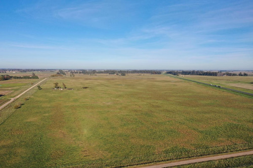 Imagen 2 de 9 de Campo De 77 Has En Venta En Uribelarrea, Cañuelas