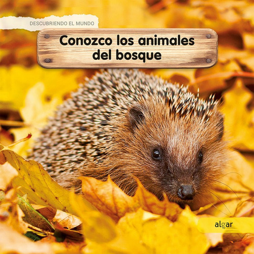 Libro Conozco Los Animales Del Bosque