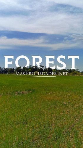 Imagen 9 de 10 de Lotes En Venta En Barrio Privado Forest