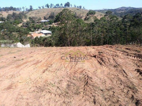 Imagem 3 de 5 de Terreno À Venda, 6500 M² Por R$ 330.000,00 - Estância São Paulo - Campo Limpo Paulista/sp - Te0049