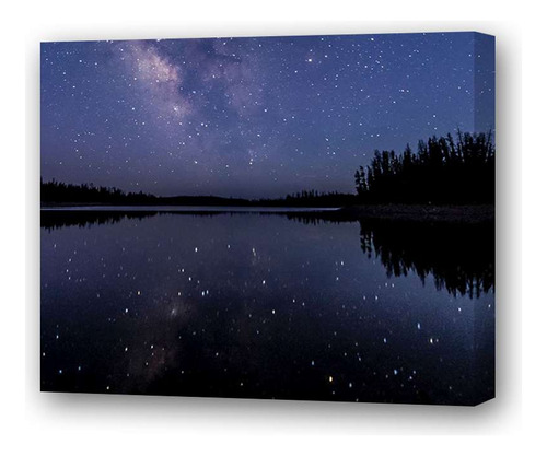 Cuadro 20x20cm Cielo Bosque Estrellado Lago Espejado