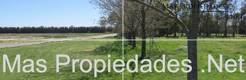 Lote En Canning Santa Ines 971m2