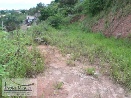 Imagem 3 de 7 de Terreno Em São Judas Tadeu - Miguel Pereira - 1249