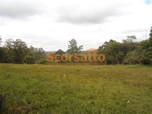 Imagem 6 de 12 de Área À Venda, Potuverá, Itapecerica Da Serra/sp - 4179