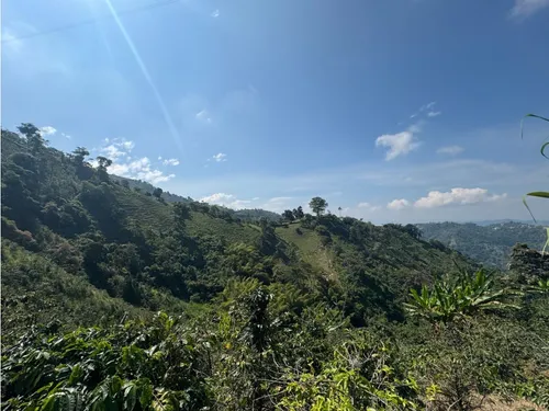 Lote En Venta En Vereda La Aurora Manizales | Venta Terreno
