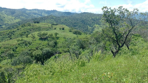 Oportunidad De Inversión En Chiapas: Rancho De 10 Hectáreas Con Documentación Al Día Y Plusvalía En Crecimiento
