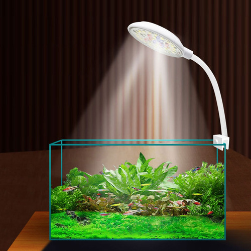 Luz Led (w-b) Led De 7/5 W Para Peceras De Tamaño Pequeño Co