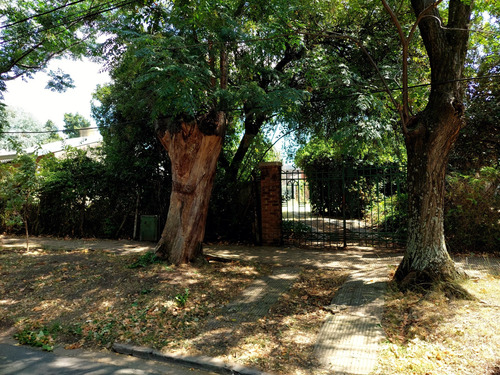 Lote 1.000 Metros