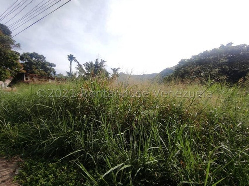 Imagen 5 de 14 de Terreno En Venta Av. Principal El Castaño, Sector El Paraíso, Maracay, 22-12299 Mv