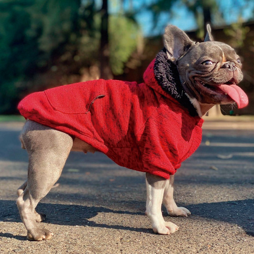 Buzo Para Perros - Estampado - Oportunidad