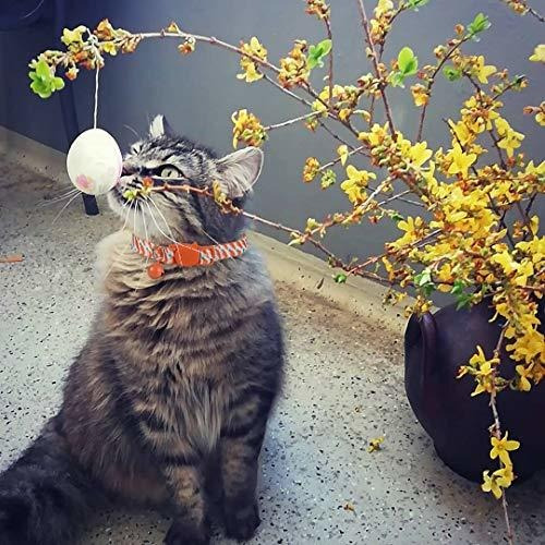 Set of 2 Spring Kitten Collars with Bell BoomBone Easter Cat Collar Breakaway 