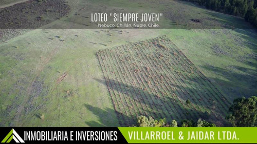 Venta De Parcela Chillán Viejo