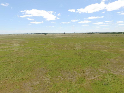 450 Has - Campo Ganadero En Venta A Metros De Ruta !!!