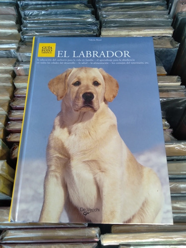 El Labrador - Valeria Rossi