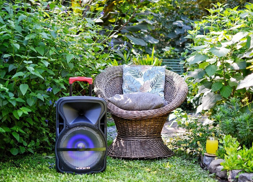 Parlante Portatil Bateria +12v Usb Bluetooth 5000w Radio Microfono Karaoke Luces Led Inalambrico Bateria Y 220v + Sonido