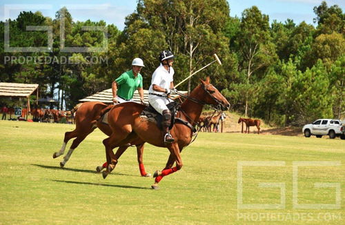 Imagen 17 de 30 de Costa Esmeralda - Maritimo 2 Al 100