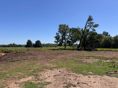Venta - Lote Interno - Estancia Carabassa | Vco Propiedades
