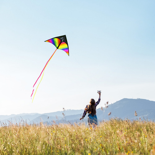 Cuerda Kite Colorful Easy To Fly De Una Sola Línea Para Play