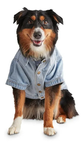 Camisa Jean Mascota, Prendas Vestir Mascota, Camisas Mascota