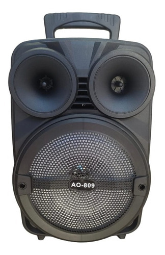 Parlante 8 Pulgadas Bluetooth Ao-809 Fm Y Amplificador