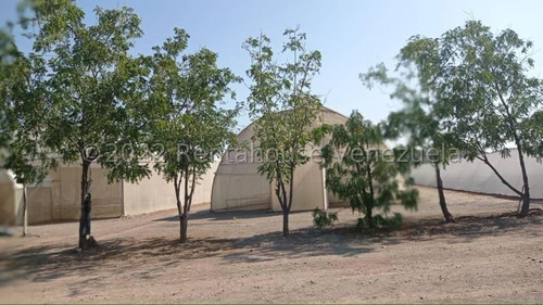 Imagen 17 de 30 de Fina En Venta Quibor Estado Lara, 04245937542