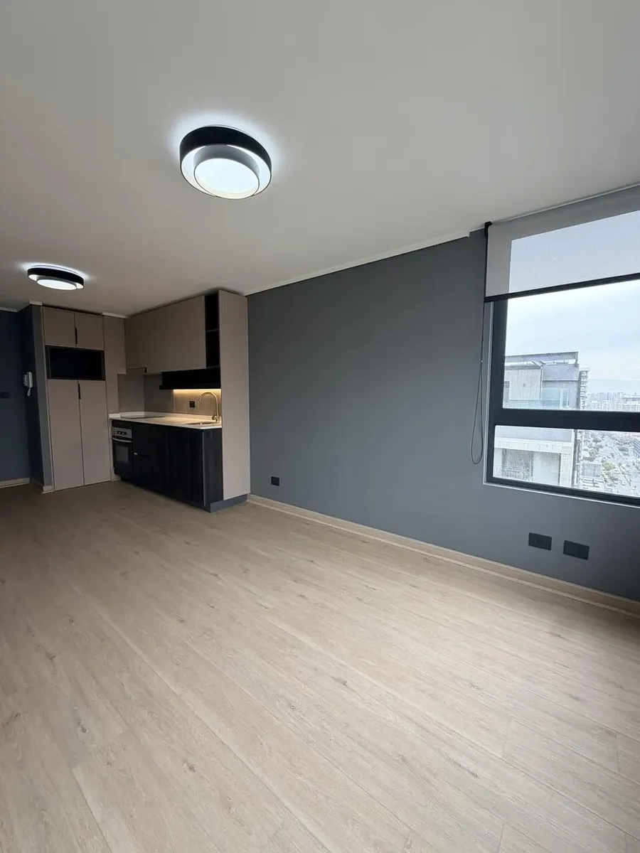 Imagen 2 de 29 de 1 Dormitorio Y 1 Baño Mas Bodega Y Est Metro Ñuñoa Arriendo
