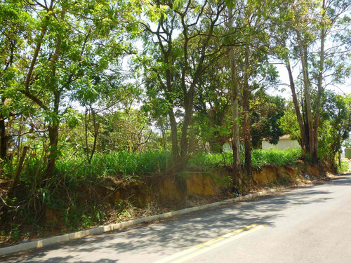 Imagem 18 de 18 de Terreno A Venda, Colinas De Indaiatuba Ii, Indaiatuba - Tr01631 - 4229513