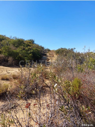 Terreno En Tecate Subdividido En 3 Lotes. Magnifica Ubicación.