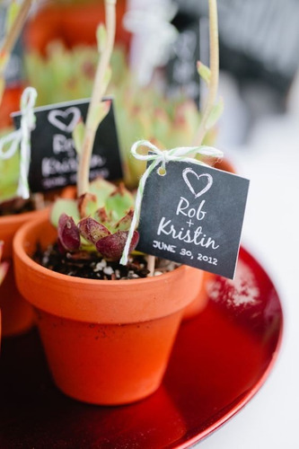 Imagen 3 de 6 de Amor A Las Plantas, Recuerdo De Seculentas Coleccion Aa