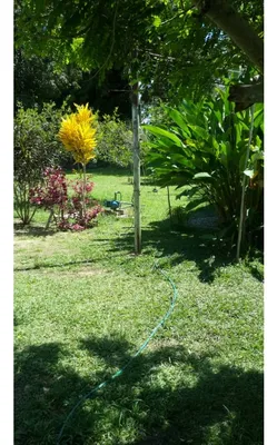 Hacienda-Finca en venta