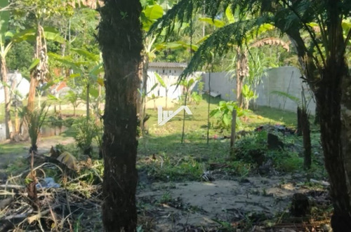 Imagem 5 de 11 de Chácara No Bairro Regina Maria Em Mongaguá
