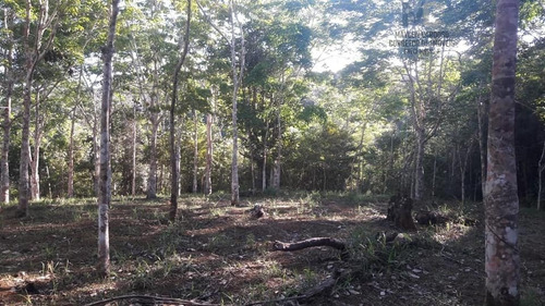 Chácara A Venda No Bairro Centro Em Itacaré - Ba. - 1205-1