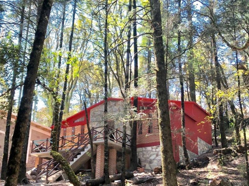 Imagen 4 de 8 de Terreno En Venta Mineral Del Monte Centro
