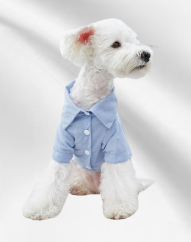 Roupa Pet Camisa Pet Linho Casamento Praia Roupinha Cachorro