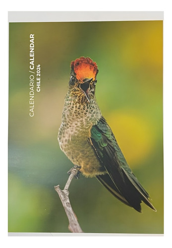 Calendario Aves De Chile 2024 /849