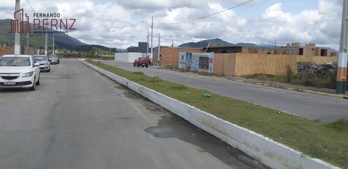 Imagem 6 de 6 de Terreno - Santa Regina - Ref: 2772 - V-3282