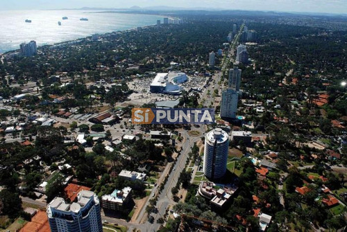 Imagen 26 de 30 de Apartamento En Venta - Roosevelt